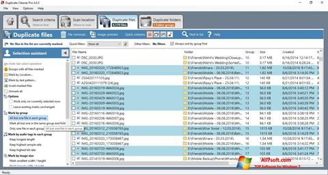 스크린 샷 Duplicate Cleaner Windows 7