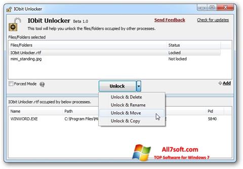 스크린 샷 IObit Unlocker Windows 7