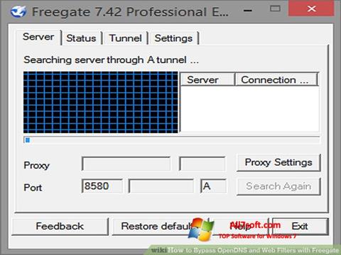 스크린 샷 Freegate Windows 7