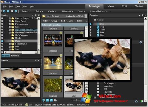 스크린 샷 ACDSee Photo Manager Windows 7